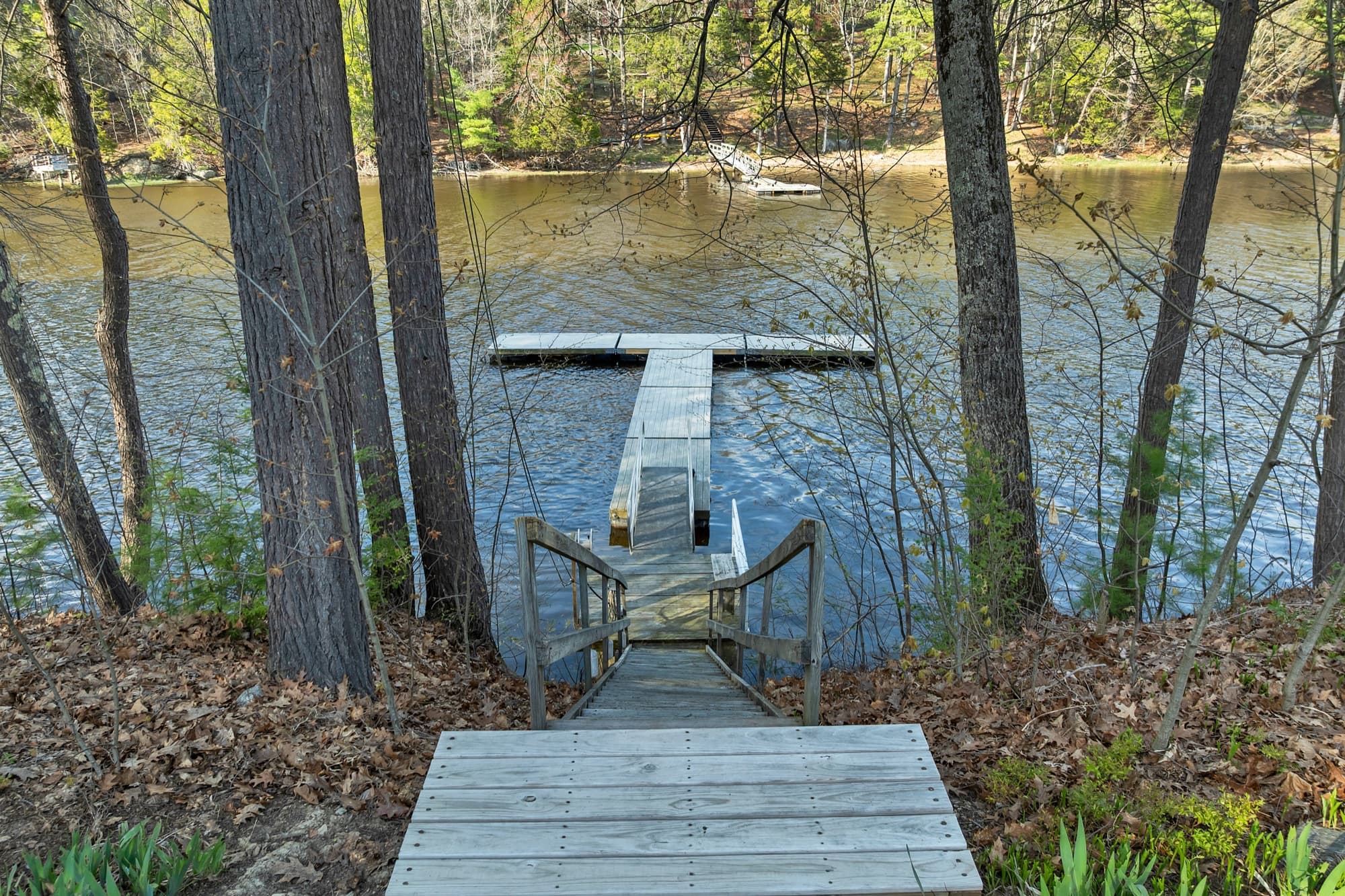 Wooden stairs and ramp leading down through the pines to the floating dock